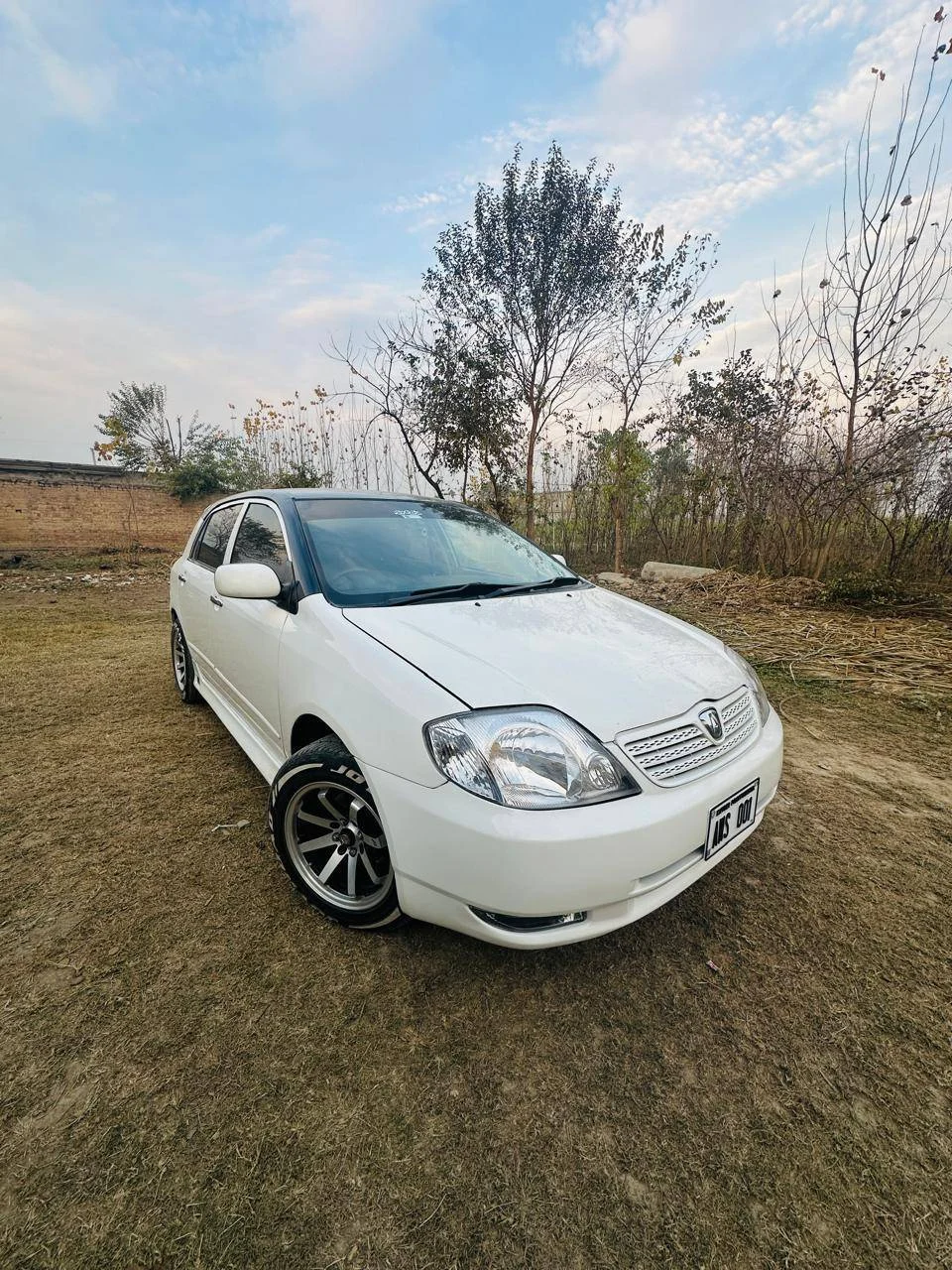 Alto for rent